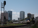 A view of the city of Tampa